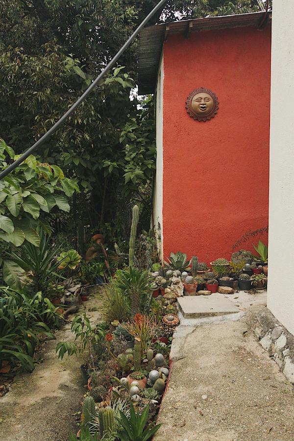 Cabana Campestre En Oaxaca Εξωτερικό φωτογραφία