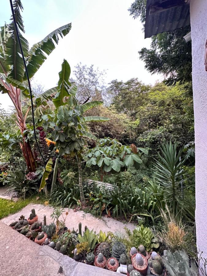 Cabana Campestre En Oaxaca Εξωτερικό φωτογραφία
